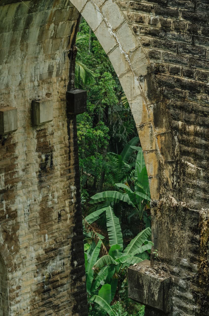 Превью Sri Lanka 2022